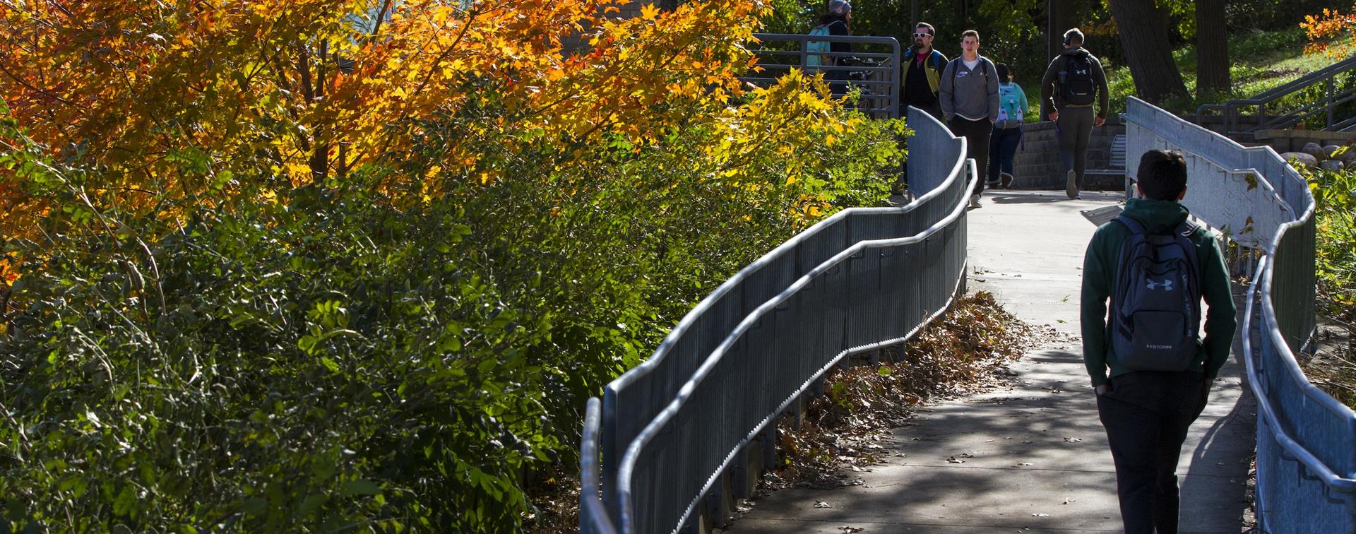 students walking on campus with trees in full fall color