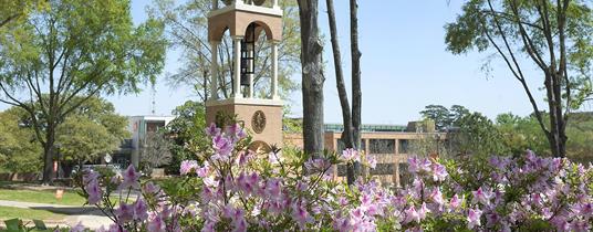 Community Engagement Workshop at Sam Houston State University