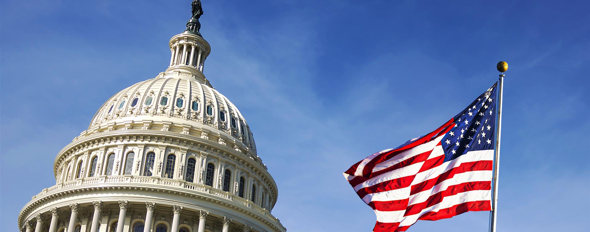 Picture of the US Capitol Building Dome.