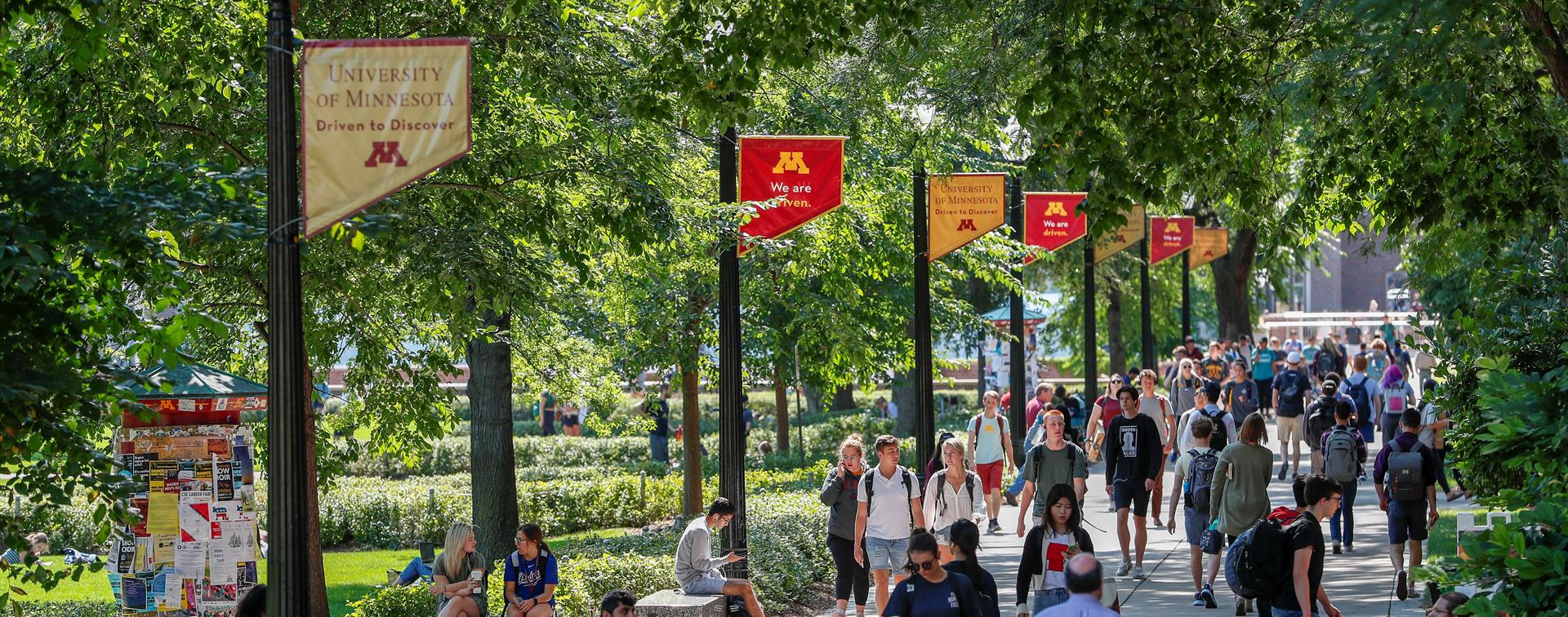 Photo of students walking on a sidewalk lined by tall, leafy trees on the University of Minnesota Twin Cities campus.