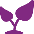 Green campuses icon